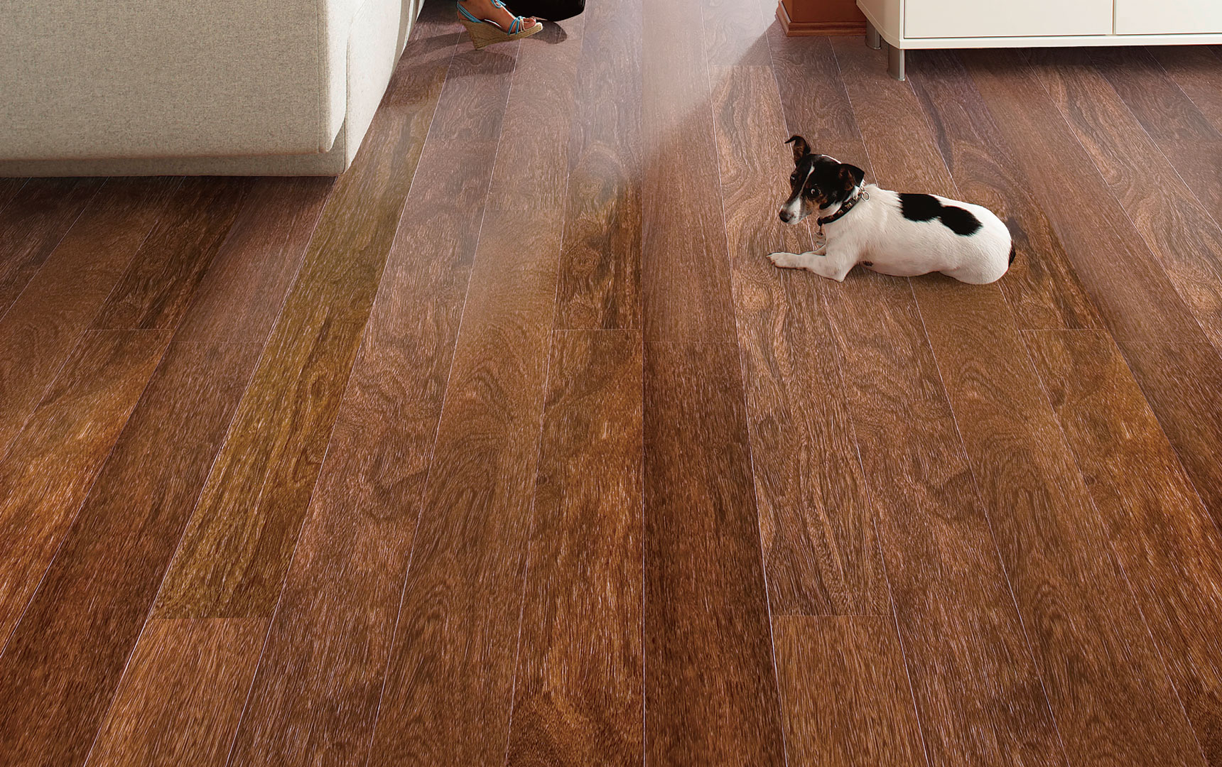 龍鳳檀1,進(jìn)口地板