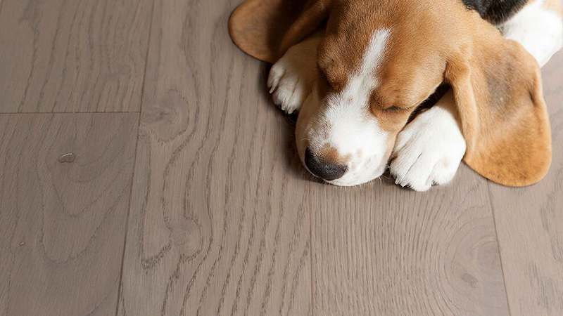 得高環(huán)保地板嚴(yán)標(biāo)準(zhǔn)、高品質(zhì)! 圖片7 得高環(huán)保地板嚴(yán)標(biāo)準(zhǔn)、高品質(zhì)! 圖片7