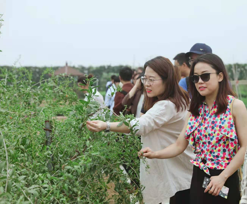 新浪家居“質造行”，共證得高品牌力量，推動品質持續(xù)升級 圖片2