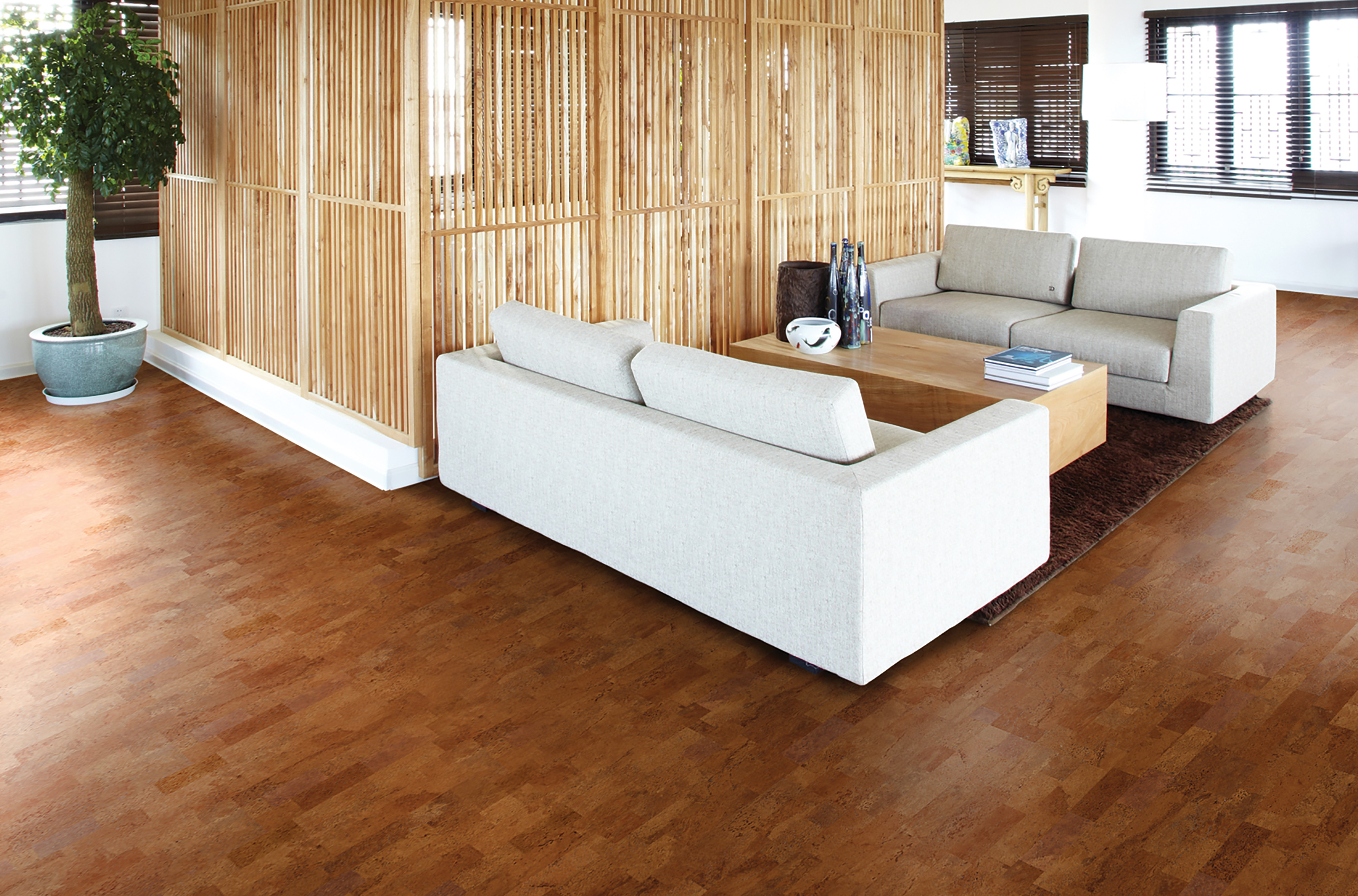 要環(huán)保地板,也要舒適溫馨,更要時(shí)尚色彩! c93g001 要環(huán)保地板,也要舒適溫馨,更要時(shí)尚色彩! c93g001