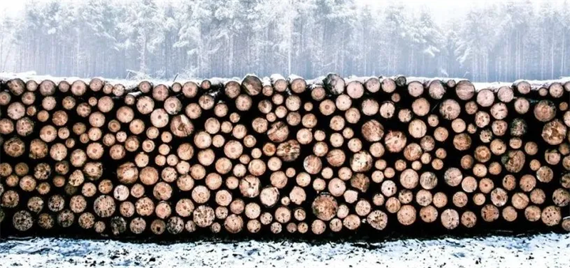 家居采暖好搭檔,解鎖高質量“進口地熱地板”! 圖片 2 家居采暖好搭檔,解鎖高質量“進口地熱地板”! 圖片 2