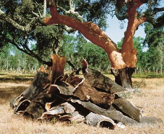 你可以永遠(yuǎn)相信得高品質(zhì)！ image4