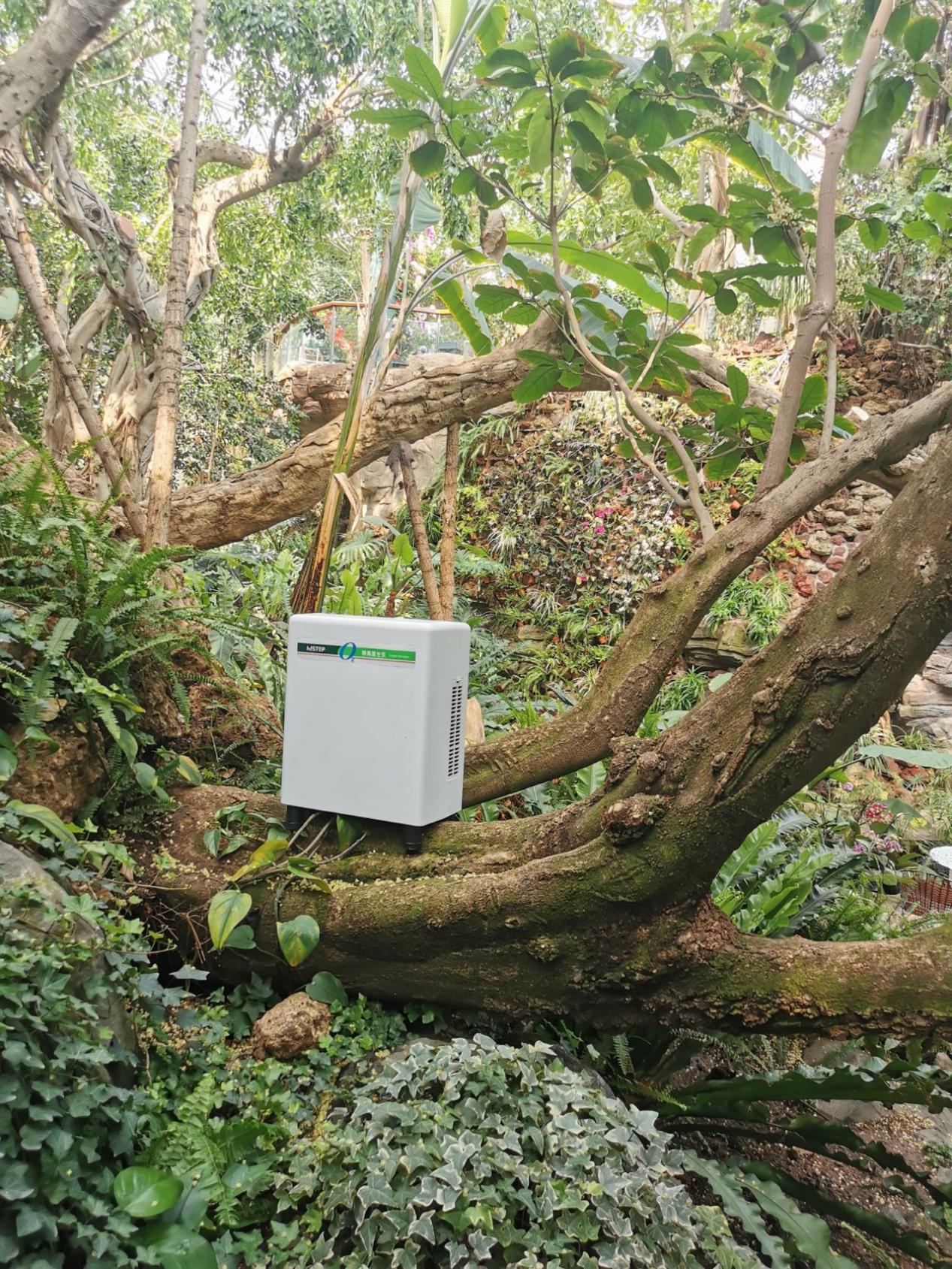 居家也要暢快呼吸,得高教你實現科學補氧! image3 居家也要暢快呼吸,得高教你實現科學補氧! image3