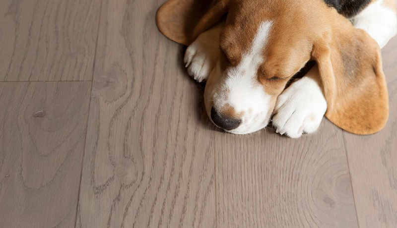 實(shí)木復(fù)合地板重新定義了高品質(zhì)生活的標(biāo)準(zhǔn) 圖片4 實(shí)木復(fù)合地板重新定義了高品質(zhì)生活的標(biāo)準(zhǔn) 圖片4