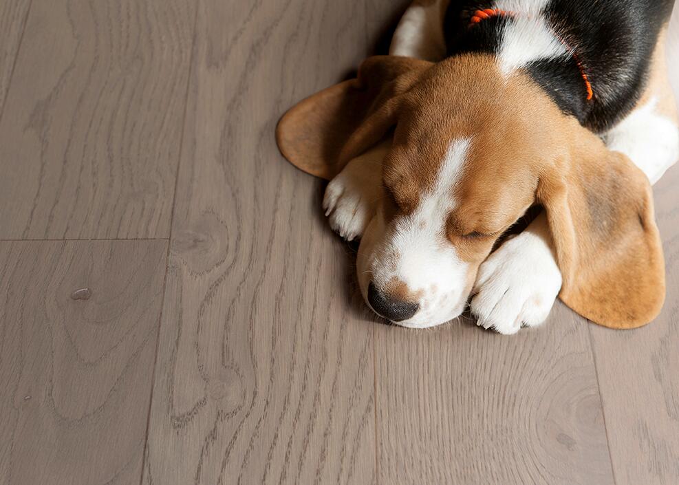 新年大掃除,地板清潔保養指南 圖片23 新年大掃除,地板清潔保養指南 圖片23