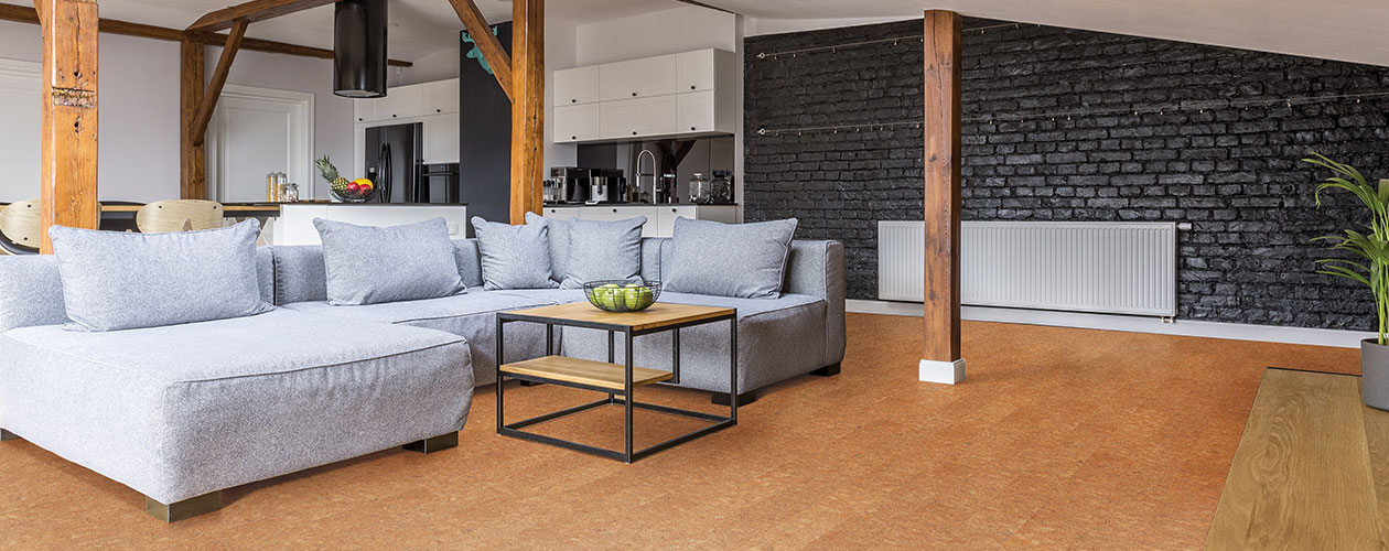 葡萄牙WISE軟木進口地板